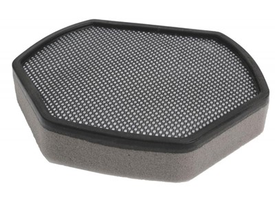 Filter motora Bosch 12012937