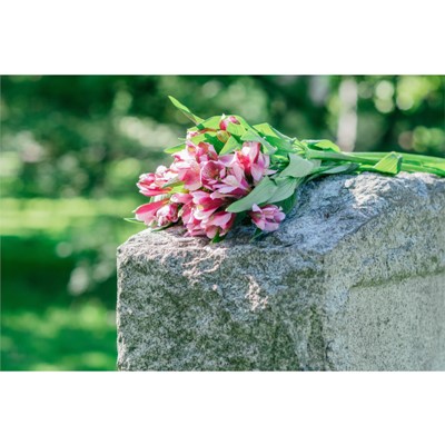 Mellerud sredstvo za čišćenje nadgrobnih spomenika 0,5 l